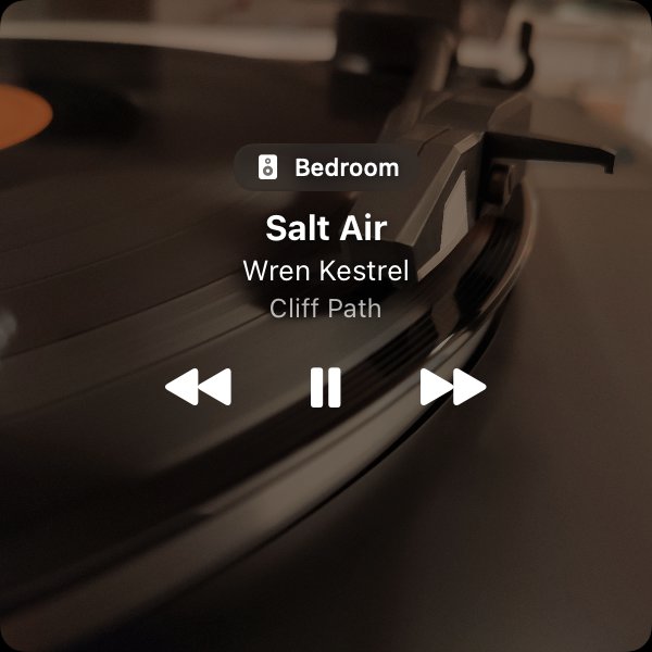 Playstate showing Salt Air by Wren Kestrel with playback controls
